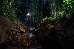 BIB: 
                            <button type="button" onclick="openModal(26416651)" class="btn btn-primary btn-sm float-right btn-popup" data-toggle="modal" data-target=".modal-high-quality">
                        <i class="fas fa-shopping-cart"></i> Add to Cart
                    </button>
                                            <button type="button" onclick="isThisMe(26416651, true)" class="btn btn-success btn-sm float-right btn-popup btn-isme hidden" data-toggle="tooltip" data-placement="bottom" title="นี่คือรูปของคุณใช่ไหม คลิกที่นี่เพื่อเอาเข้าอัลบั้ม">
                        <i class="fas fa-plus"></i> Add to album
                    </button>
                    <button type="button" onclick="isThisMe(26416651, false)" class="btn btn-warning btn-sm float-right btn-popup btn-isnotme hidden">
                        <i class="fas fa-ban"></i> Remove from album
                    </button>